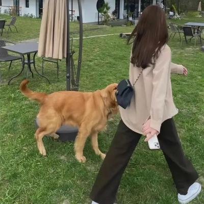 迪斯可人生