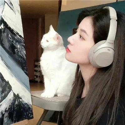 蝴蝶大冒险